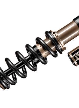 意大利EXT  Extreme Racing Shox Arma V4速降山地车后胆后避震器