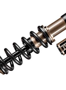 意大利EXT  Extreme Racing Shox Arma V4速降山地车后胆后避震器
