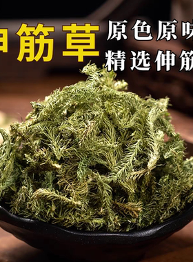 精选新货伸筋草500g小伸筋草中药材泡脚马尾生筋草筋骨草小透骨草