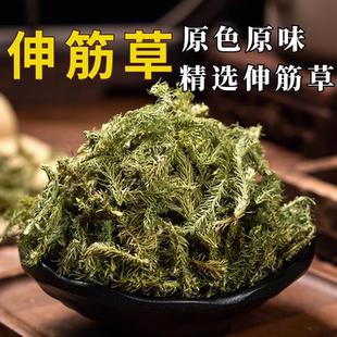 精选新货伸筋草500g小伸筋草中药材泡脚马尾生筋草筋骨草小透骨草