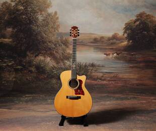 朱丽叶吉他x-13s全单吉他电箱加振款