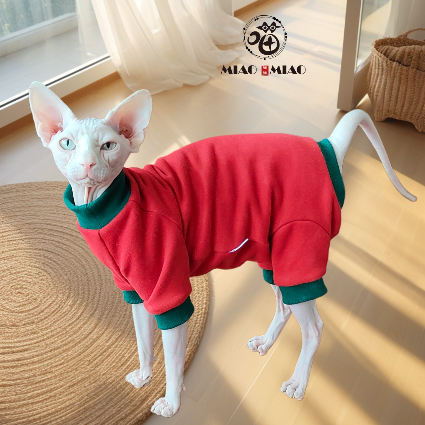 猫咪衣服无毛猫德文猫衣服春秋四猫宠物服装/雨衣（新