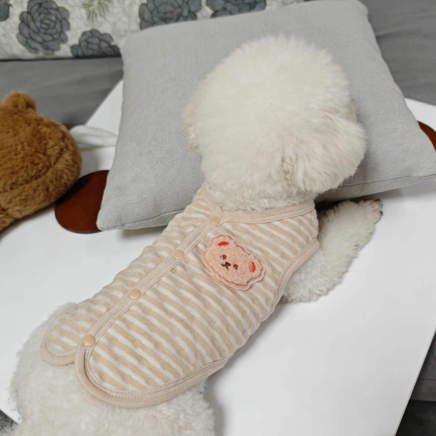 彩棉狗狗夹薄棉背心纯棉针织柔软小型犬防静电宠物衣服比熊猫咪