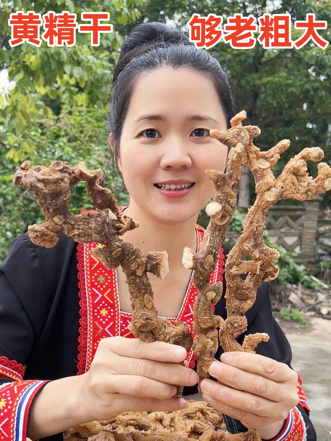 野生黄精500克姜形多花黄粗黄精干货泡茶泡酒药材野生无硫包邮