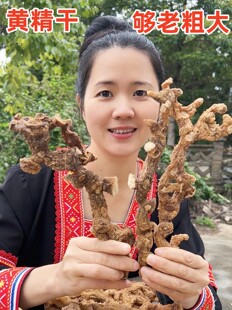 野生黄精500克姜形多花黄粗黄精干货泡茶泡酒药材野生无硫包邮