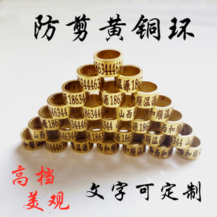 鸽子脚环定制信鸽足环翻翻种鸽高飞私人脚环元宝环鸽具用品用具