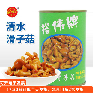 裕伟清水滑子菇罐头400g食用菌滑菇蔬菜蘑菇罐头家用炒菜煲汤速食