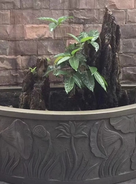 庭院石缸别墅花园水缸鱼缸水中植物花盆睡莲荷花风水摆件青石雕刻