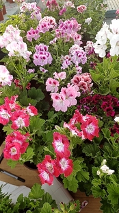 加热包 冬天必拍 保温棉