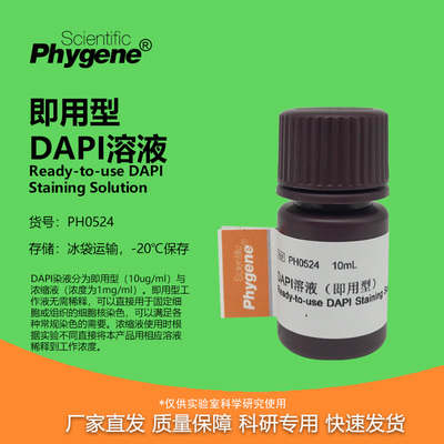 DAPI溶液即用型实验专用