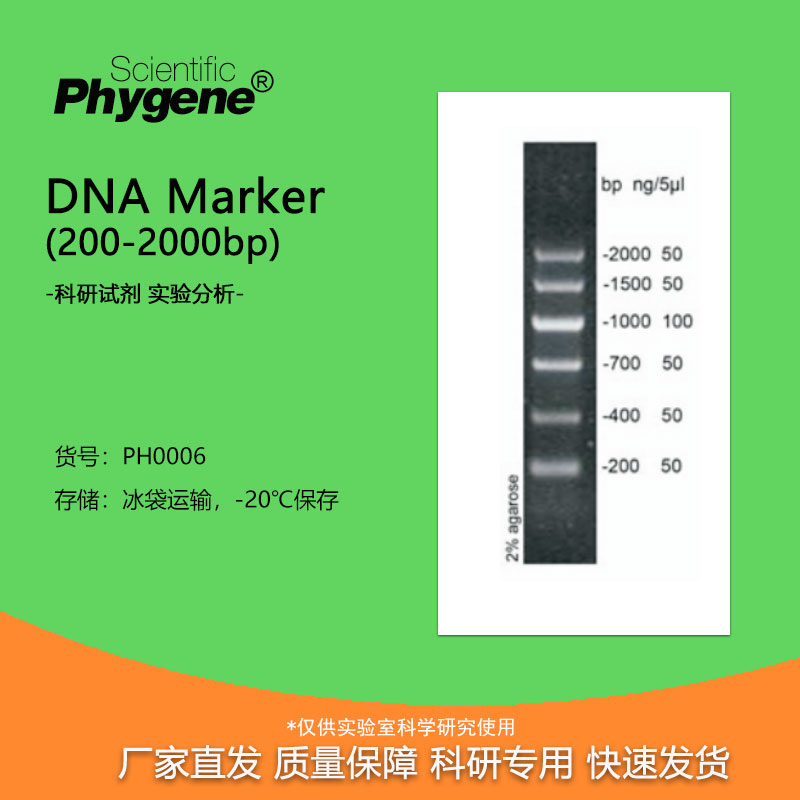 DNA Marker (200-2000bp) 100T 核酸电泳  [PH0006 PHYGENE]