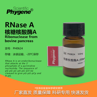 RNA酶 核糖核酸酶A PH0624 PHYGENE 实验试剂 RNase