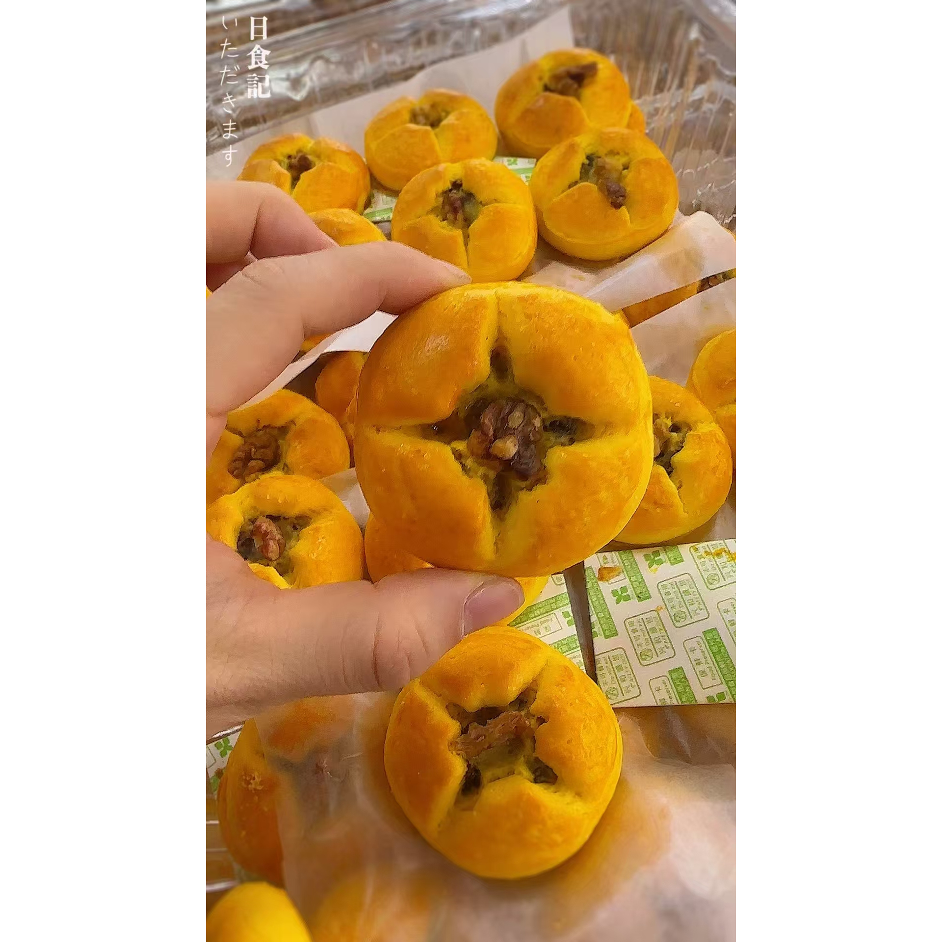 【实体同款】枣合饼红枣核桃饼夹心营养早餐代餐休息零食糕点解馋