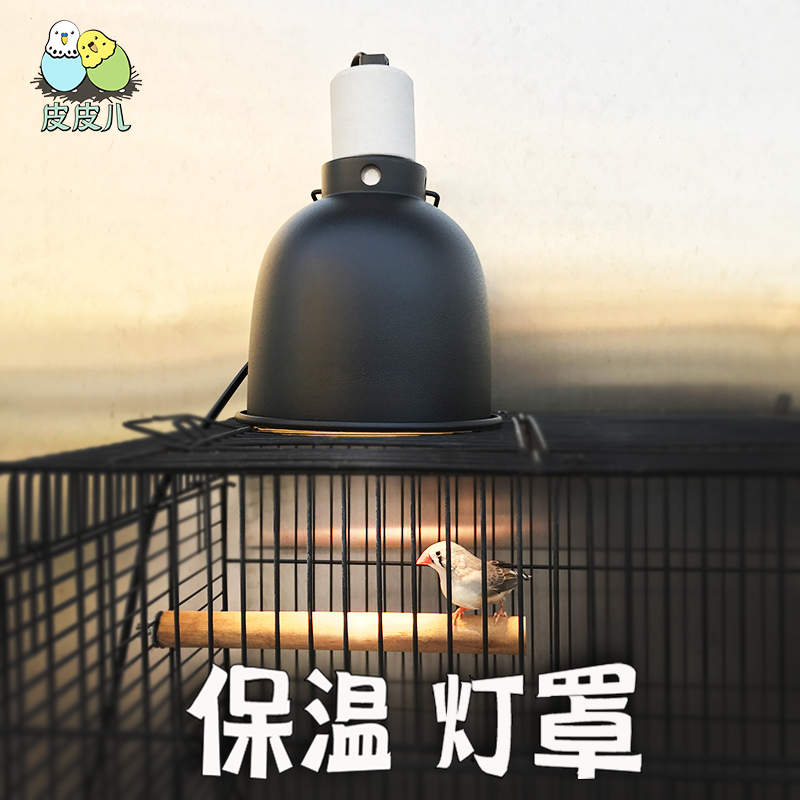 鹦鹉保温鸟加热取暖灯罩
