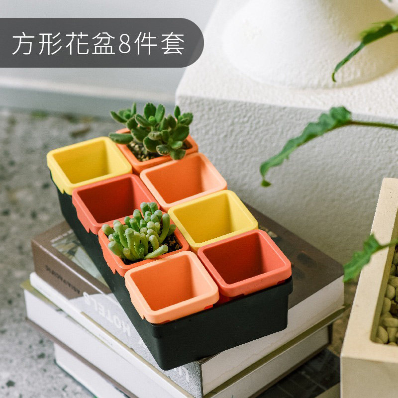 速发组公王多肉植物坤合盆室内办宁室肉肉植物种植盒小号育苗盆加