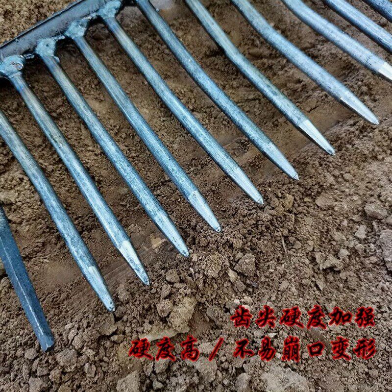 速发搂石子蛤蜊密齿耙搂草赶海耙子地砖农用捞河蚌赶海工具农用铁