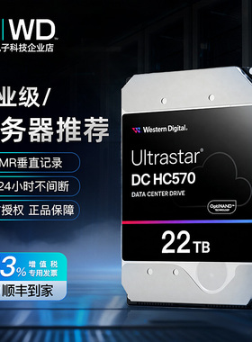 WD/西部数据 HC570 WUH722222ALE6L4 22T SATA氦气企业级NAS硬盘