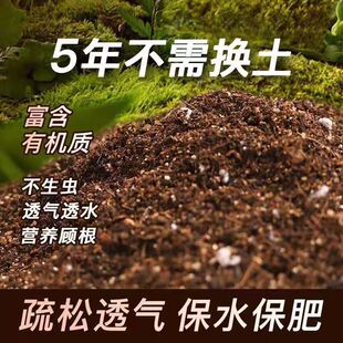 自家基地用基质土多年配方不板结疏松透气透水绿植通用土包邮