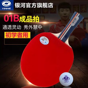 银河乒乓球拍01B初学者单拍5层训练用一星二星02三星四星67星 正品