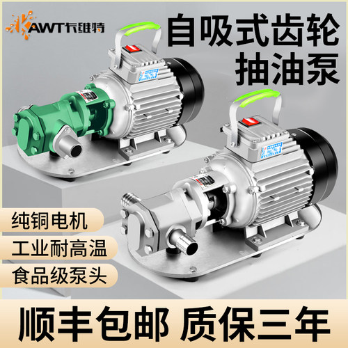齿轮电动抽油泵不锈钢工业食品