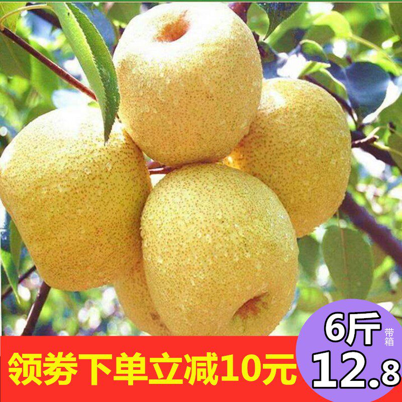 正宗安徽砀山酥梨10斤贡梨带箱5斤新鲜水果农家汤山香梨多汁雪梨