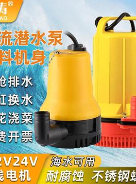 耐腐蚀直流潜水泵船舱泵高扬程12V24V海水电瓶泵浇菜船用抽水机