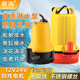 耐腐蚀直流潜水泵船舱泵高扬程12V24V海水电瓶泵浇菜船用抽水机