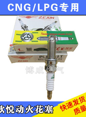 起亚三极铱金两用火花塞油改气