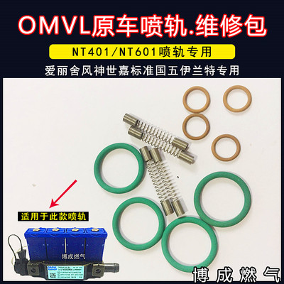 cng汽车天然气喷轨胶圈omvlnt401