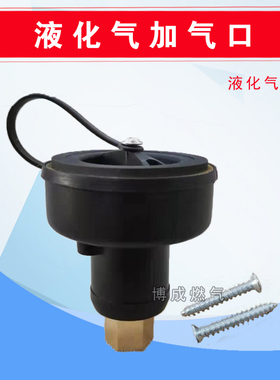 汽车天然气LPG液化气加气阀快接式卡扣式充气阀配件
