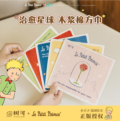 树可小王子木浆棉抹布保洁刷碗布