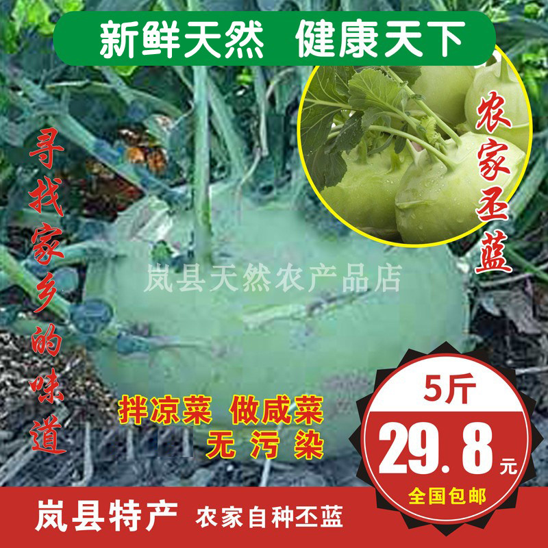 山西岚县特产丕蓝菜新鲜蔬菜水果苤蓝脆甜多汁绿青丕蓝兰球茎甘蓝
