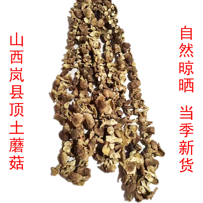 山蘑菇顶土蘑菇农民山上自采