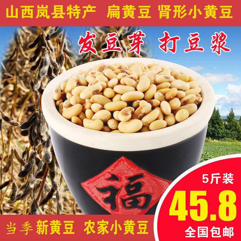农家种植老品种发豆芽打豆浆黄豆