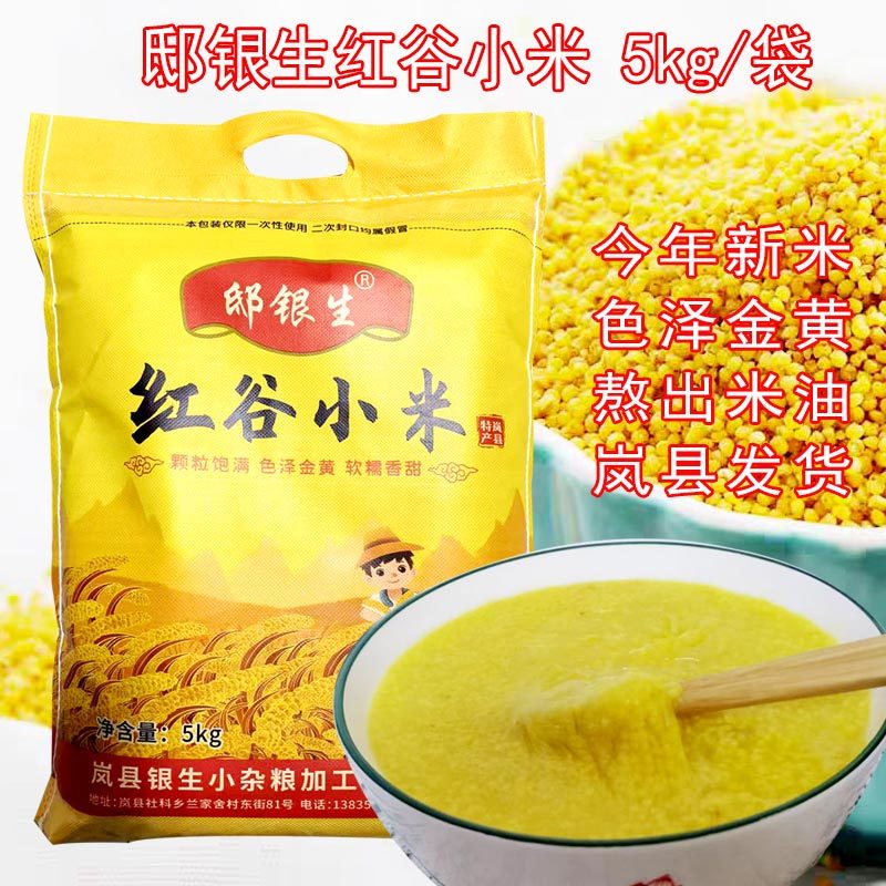 红谷小米山西岚县特产当季新米邸银生小米农家黄小米熬粥米油10斤