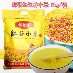 红谷小米山西岚县特产当季新米邸银生小米农家黄小米熬粥米油10斤