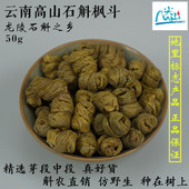 铁皮 云南龙陵紫皮石斛枫斗 真货保证精选好货 农户直销 去毛小号