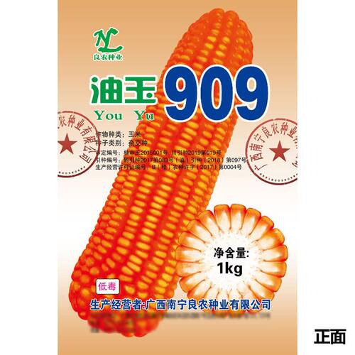 【店铺热销】油玉909 白轴高产杂交玉米耐热硬粒型 玉米种子
