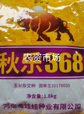 秋乐368正品国审优质成熟玉米种杂交矮杆大棒新技术抗病抗旱抗