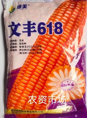 亚美文丰618杂交玉米种子  抗病抗倒伏 穗轴白 耐旱耐涝 高产
