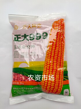 【热卖】正大999杂交玉米种子 穗轴红色抗倒伏抗病 高产