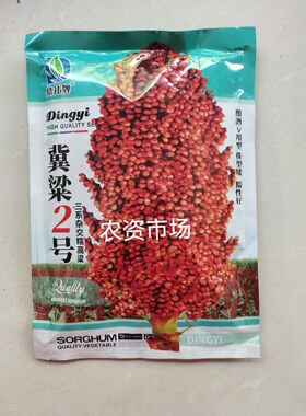 冀梁2号 冀梁1号酿酒红高粱种子三系杂交糯高粱种子 壳红色粒红色
