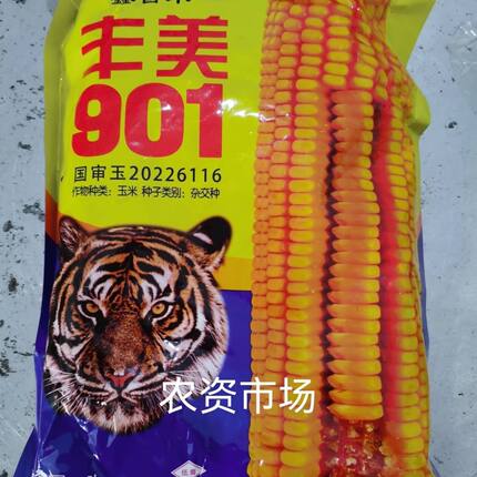 美玉农业丰美901 饲料玉米种子 穗轴红色  抗倒伏抗病 高产