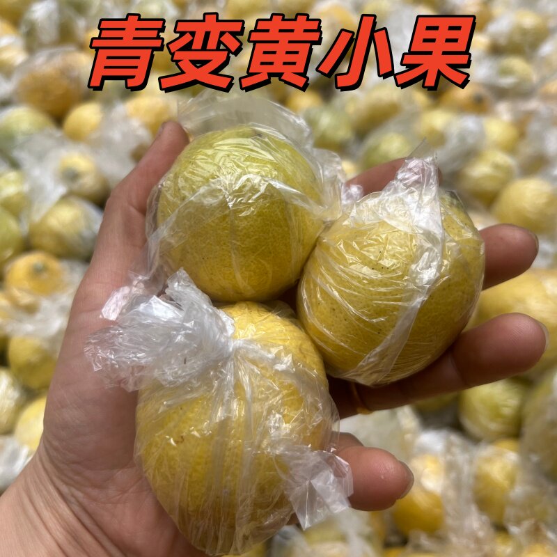 青黄柠檬小果安岳农村丑果小柠檬果产地直发不打蜡