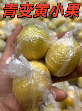 青黄柠檬小果产地直发