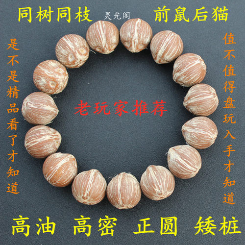 精品原籽招财鼠三眼天然后猫