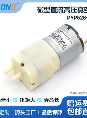 ASLONG PYP528-12H微型直流静音真空泵小型泵吸气抽气医疗气泵12V