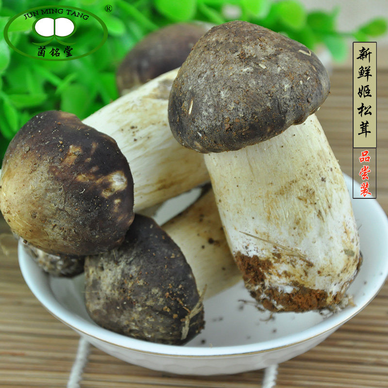 菌铭堂 新鲜姬松茸 香格里拉姬松茸蘑菇食用松茸菌巴西蘑菇500g