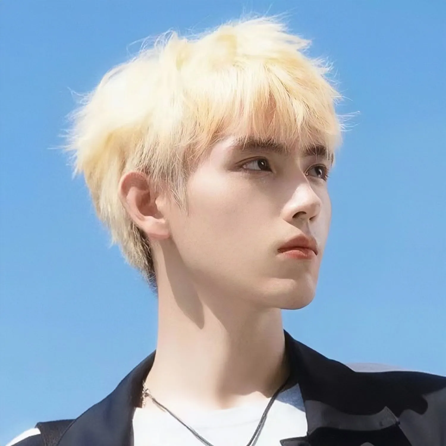 程铭假发男短发韩版碎盖男士假发帅气自然白金色夏季透气全头套式