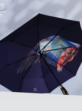 raincats/艺猫丢勒全自动雨伞男晴雨两用折叠遮阳伞加大双层加厚